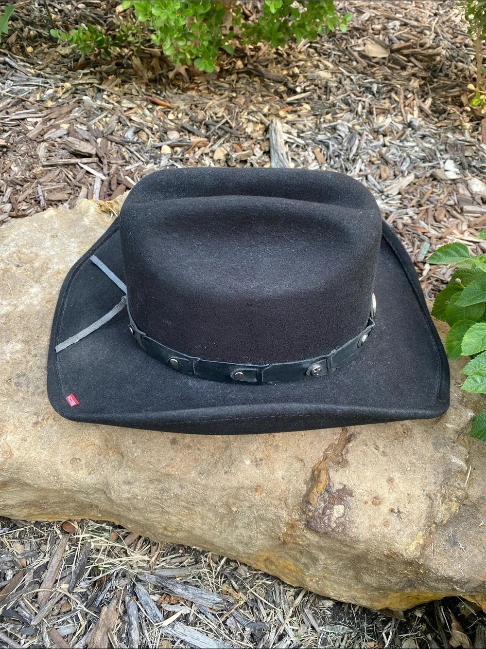 Bullhide featuring black